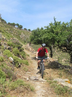 Ein Mountainbiker mit roten T-Shirt fährt einen leicht steinigen Trail herab