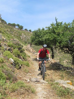 Ein Mountainbiker mit roten T-Shirt fährt einen leicht steinigen Trail herab