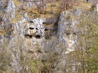 Ein bizarrer Kalksteinfelsen mit zahlreichen Vertiefungen und Höhlen.