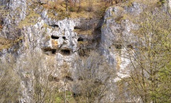 Ein bizarrer Kalksteinfelsen mit zahlreichen Vertiefungen und Höhlen.
