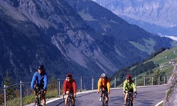 Vier Radler auf der Alpenpanoramaroute vor einer imposanten Bergkulisse.