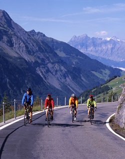 Vier Radler auf der Alpenpanoramaroute vor einer imposanten Bergkulisse.
