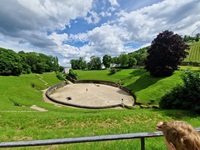Blick auf das Amphietheater in Trier