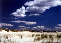 Blick über die Dünenlandschaft von Amrum zu einem Leuchtturm