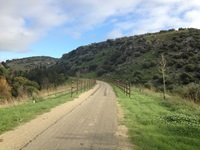 Ein asphaltierter Radweg durch Wiesen und bewachsene Hügel mit Holzgeländer auf der linken und rechten Seite in Andalusien