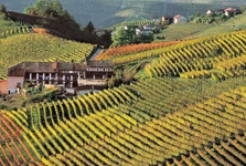 Das malerisch von bunt gefärbten Weinbergen umrahmte Hotel Langhe Monferrato in Asti.