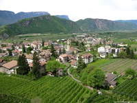 Weinberge umrahmen den Weinort Auer am Kalterer See.