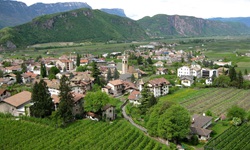 Weinberge umrahmen den Weinort Auer am Kalterer See.