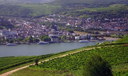 Blick von einem Hügel nach Rüdesheim am Rhein. Auf dem Rhein sind drei Schiffe zu erkennen