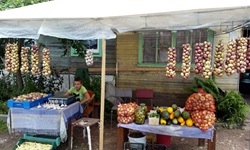 Ein Junge verkauft Gemüse an einem Marktstand.