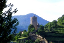 Schöne Panoramaaufnahme der von sanften Hügeln umrahmten Burg Kaysersberg.