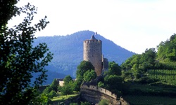Schöne Panoramaaufnahme der von sanften Hügeln umrahmten Burg Kaysersberg.