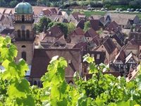 Schöner, von Weinreben umrankter Blick auf Kaysersberg - im Vordergrund die Heilig-Kreuz-Kirche.