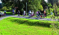 Eine Radlergruppe fährt auf einem asphaltierten Radweg durch Flandern