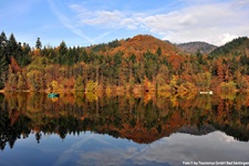 Blick über den Rhein, auf dem zwei Boote zu sehen sind, zum Herbstwald bei Bad Säckingen