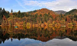 Blick über den Rhein, auf dem zwei Boote zu sehen sind, zum Herbstwald bei Bad Säckingen