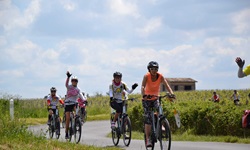 Eine Gruppe Radlerinnen fährt auf einem asphaltierten Radweg an den Weinreben des Bordeauxgebiets entlang.