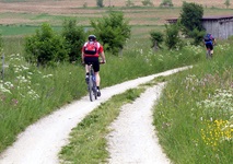 Zwei Mountainbiker genießen die Fahrt auf der Bike-Crossing Schwäbische Alb.