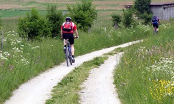 Zwei Mountainbiker genießen die Fahrt auf der Bike-Crossing Schwäbische Alb.