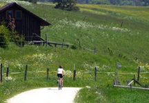 Eine Mountainbikerin radelt an einer Hütte vorbei durch die blühenden Landschaften der Schwäbischen Alb.