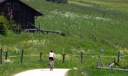 Eine Mountainbikerin radelt an einer Hütte vorbei durch die blühenden Landschaften der Schwäbischen Alb.
