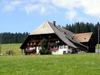 Ein einsam gelegenes, typisches Schwarzwaldhaus mit dem charakteristischen, seitlich tief heruntergezogenen Dach.