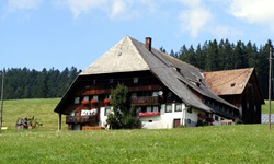 Ein einsam gelegenes, typisches Schwarzwaldhaus mit dem charakteristischen, seitlich tief heruntergezogenen Dach.