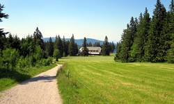 Malerisch gelegene, einsame Bauernhäuser und zahlreiche Nadelbäume säumen die Bike-Crossing-Strecke im Schwarzwald.