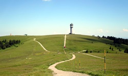 Der Feldbergturm auf dem mit 1492 Metern höchsten Gipfel des Schwarzwaldes.
