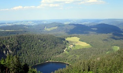Traumhafter Ausblick vom Feldberg auf den darunter gelegenen, von Wäldern umgebenen Feldsee.