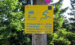 Ein typischer, gelber Wegweiser der Schwarzwald-Bike-Crossing-Strecke mit stilisiertem Schwarzwälder Bollenhut und Mountainbiker.