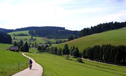 Ein Mountainbiker genießt im Vorbeifahren die herrliche Schwarzwaldlandschaft.