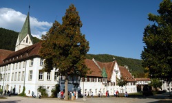 Blick zum Kloster Blaubeuren