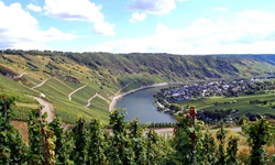 Schöner Blick auf die Wolfer Moselschleife und das Dorf Wolf.