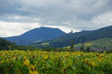 Elsässer Landschaft mit Blick zur zwei Burgen