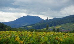 Elsässer Landschaft mit Blick zur zwei Burgen