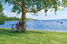 Drei Fahrräder lehnen am Ufer des Bodensees an einem Baum.