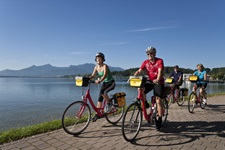 Vier Fahrradfahrer radeln den Weg entlang vom Chiemsee