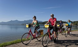Vier Fahrradfahrer radeln den Weg entlang vom Chiemsee