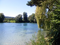 Blick vom schön bewachsenen Ufer des Bodensees