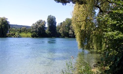 Blick vom schön bewachsenen Ufer des Bodensees