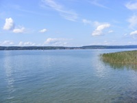 Der weitläufige Bodensee - auf der rechten Seite ist Schilf zu sehen und im Hintergrund ein Ort