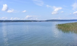 Der weitläufige Bodensee - auf der rechten Seite ist Schilf zu sehen und im Hintergrund ein Ort
