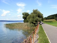 Rad- und Spazierweg mit Geländer entlang des Bodensees