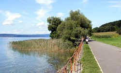 Rad- und Spazierweg mit Geländer entlang des Bodensees