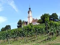 Weinberge und eine Kirche entlang des Bodesees