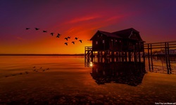 Wildgänse ziehen während eines farbenprächtigen Sonnenuntergangs über ein Bootshaus am Ammersee hinweg.