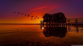 Wildgänse ziehen während eines farbenprächtigen Sonnenuntergangs über ein Bootshaus am Ammersee hinweg.