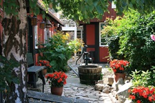 Blick in einen traumhaft bepflanzten Innenhof mit einem Brunnen auf der Insel Bornholm
