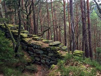 Eine alte, vermooste Burgmauer in einem Wald auf der Radreise durch den Breisgau und an der Elässischen Weinstraße